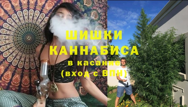 винт Касимов
