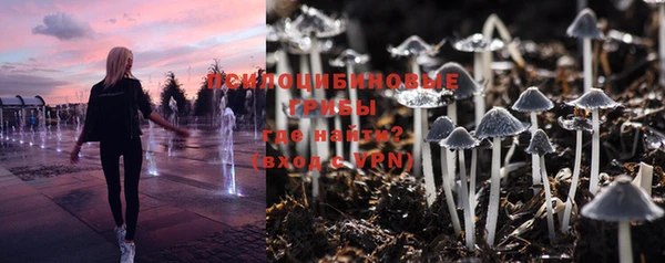 mdma Козельск