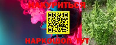 mdpv Гатчина