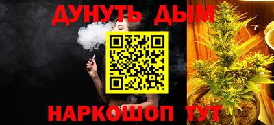 mdpv Гатчина