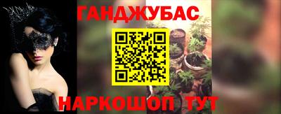 прущие грибы Гатчина