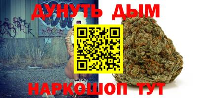 прущие грибы Гатчина