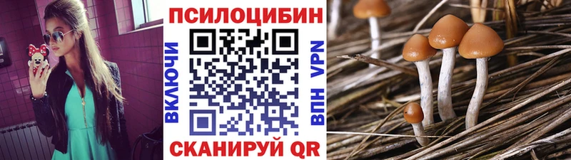 купить наркотики цена  Заволжье  Галлюциногенные грибы Cubensis 