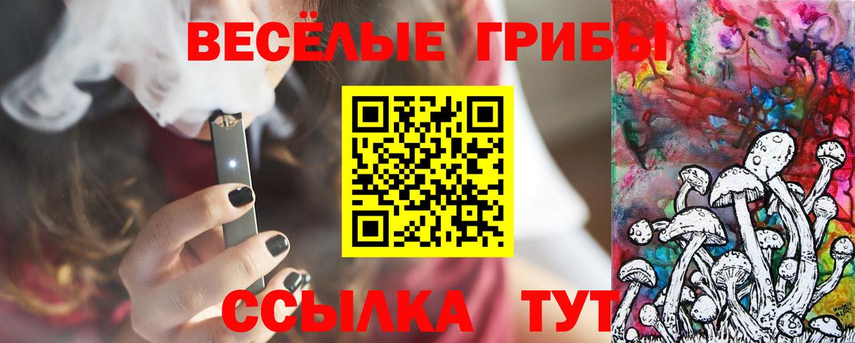 Заволжье  Галлюциногенные грибы GOLDEN TEACHER  Вход с VPN 