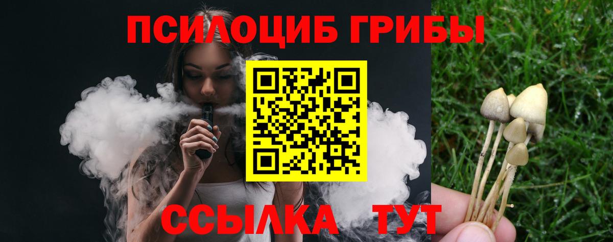 продажа наркотиков  Заволжье  Псилоцибиновые грибы мухоморы  Псилоцибиновые грибы Cubensis 